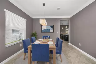 11923 Cinnamon Fern Dr, Riverview, FL 33579 - Photo 3