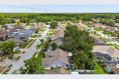 5424 Los Palos Drive, New Port Richey, FL 34655 - Photo 51
