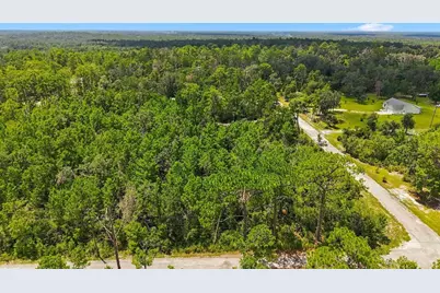 0 Lanier (Lot 2) Avenue, Brooksville, FL 34604 - Photo 9