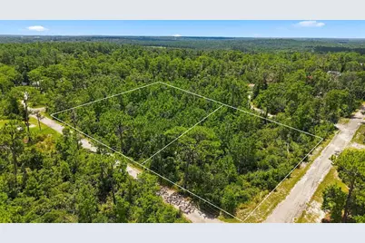 0 Lanier (Lot 1) Avenue, Brooksville, FL 34604 - Photo 3