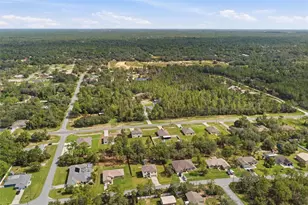 12145 Peregrine Falcon Ave, Weeki Wachee, FL 34614 - Photo 49
