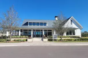 17606 Happytrails St, Land O Lakes, FL 34638 - Photo 47