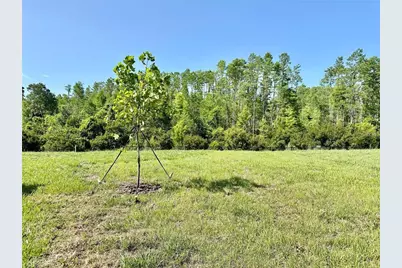 17606 Happytrails Street, Land O Lakes, FL 34638 - Photo 45