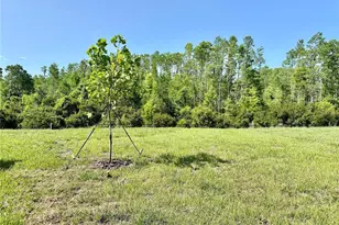 17606 Happytrails St, Land O Lakes, FL 34638 - Photo 45