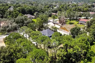 7377 Royal Oak Dr, Weeki Wachee, FL 34607 - Photo 57