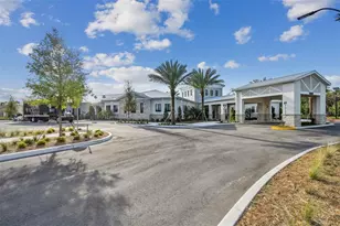 16842 Forge Surf St, Land O Lakes, FL 34638 - Photo 45