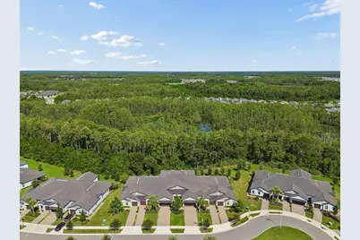 16842 Forge Surf Street, Land O Lakes, FL 34638 - Photo 53