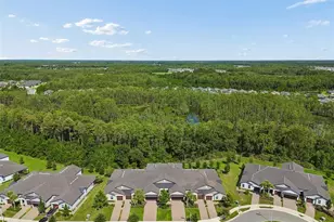 16842 Forge Surf St, Land O Lakes, FL 34638 - Photo 53