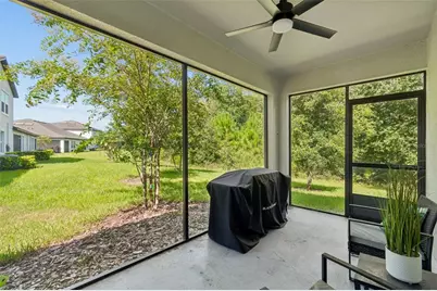 16842 Forge Surf Street, Land O Lakes, FL 34638 - Photo 31