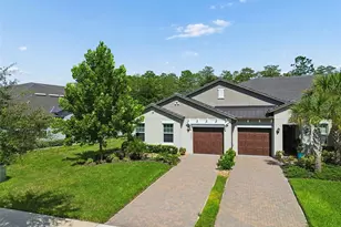 16842 Forge Surf St, Land O Lakes, FL 34638 - Photo 55