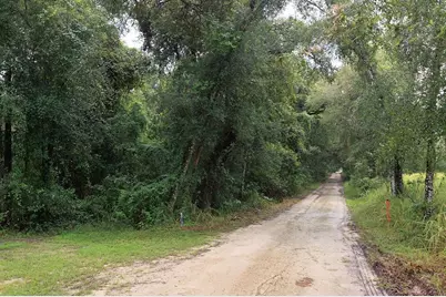 0 Lucilles Shady Lane, Nobleton, FL 34661 - Photo 5