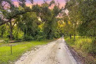 0 Lucilles Shady Ln, Nobleton, FL 34661 - Photo 1
