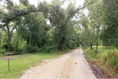 0 Lucilles Shady Lane, Nobleton, FL 34661 - Photo 3