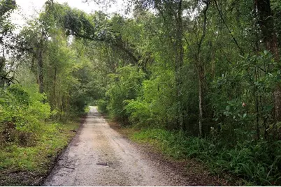 0 Lucilles Shady Lane, Nobleton, FL 34661 - Photo 11