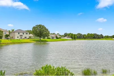 31251 Baclan Drive, Wesley Chapel, FL 33545 - Photo 5