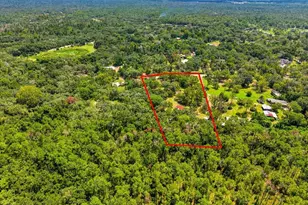 15535 Renee Ln, Hudson, FL 34669 - Photo 55