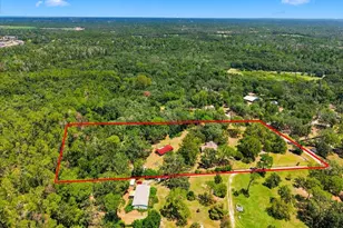 15535 Renee Ln, Hudson, FL 34669 - Photo 61