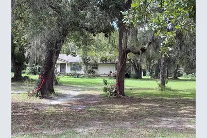 15535 Renee Lane, Hudson, FL 34669 - Photo 5
