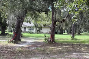 15535 Renee Ln, Hudson, FL 34669 - Photo 5