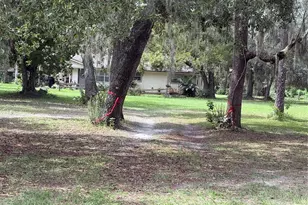 15535 Renee Ln, Hudson, FL 34669 - Photo 3