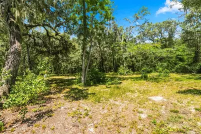 15535 Renee Lane, Hudson, FL 34669 - Photo 45