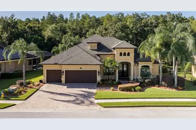 15312 Azra Drive, Odessa, FL 33556 - Photo 59