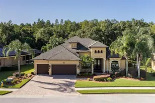 15312 Azra Dr, Odessa, FL 33556 - Photo 59