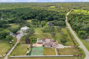 11302 Osceola Dr, New Port Richey, FL 34654 - Photo 69
