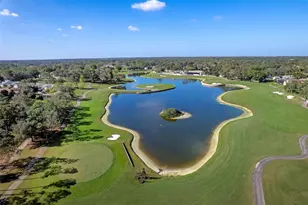 1424 Pinewood Hills Ct, Spring Hill, FL 34606 - Photo 43
