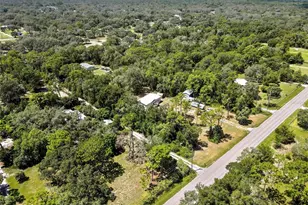 14730 Peace Blvd, Spring Hill, FL 34610 - Photo 51