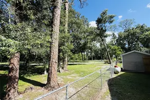 39048 Blue Jay Ave, Zephyrhills, FL 33542 - Photo 5