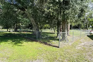 39048 Blue Jay Ave, Zephyrhills, FL 33542 - Photo 3