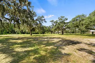 9850 Arrow Dr, New Port Richey, FL 34654 - Photo 49