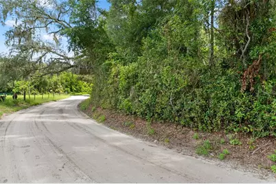 0 Trilby Cutoff Road, Dade City, FL 33523 - Photo 7