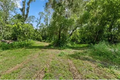 0 Trilby Cutoff Road, Dade City, FL 33523 - Photo 5