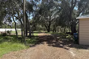 12091 Pinetree Ln, Brooksville, FL 34613 - Photo 33