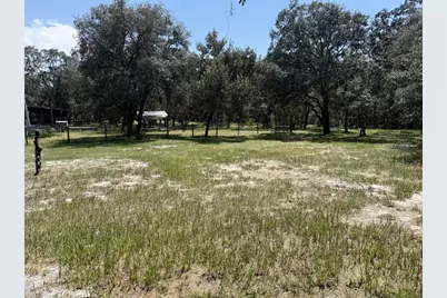 12091 Pinetree Lane, Brooksville, FL 34613 - Photo 35