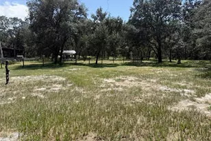 12091 Pinetree Ln, Brooksville, FL 34613 - Photo 35