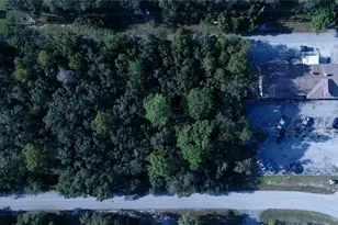 1347 Kass Cir, Spring Hill, FL 34606 - Photo 1
