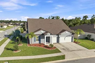 18359 Cortes Creek Blvd, Spring Hill, FL 34610 - Photo 1