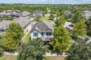 3060 Chapin Pass, Odessa, FL 33556 - Photo 39