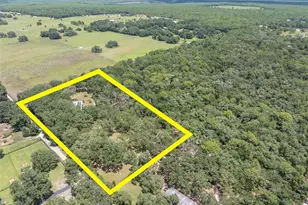 7224 Shaw Rd, Brooksville, FL 34602 - Photo 49