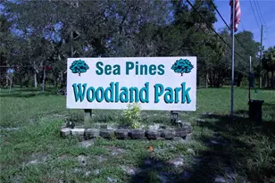 8609 Horizon Ln, Hudson, FL 34667 - Photo 43