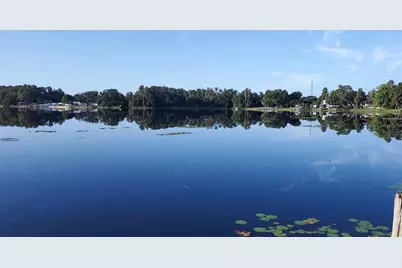 12120 Carver Avenue, New Port Richey, FL 34654 - Photo 7