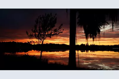 12120 Carver Avenue, New Port Richey, FL 34654 - Photo 11