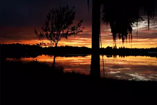 12120 Carver Ave, New Port Richey, FL 34654 - Photo 11