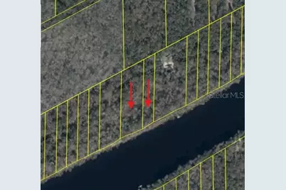 893 NE 930 Street, Cross City, FL 32628 - Photo 3