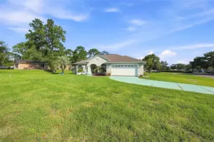 13476 Little Farms Dr, Spring Hill, FL 34609 - Photo 45