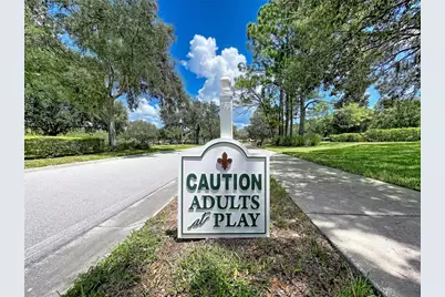 1017 Sweet Jasmine Drive, Trinity, FL 34655 - Photo 53