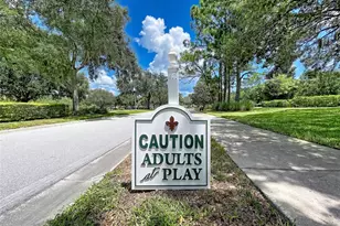 1017 Sweet Jasmine Dr, Trinity, FL 34655 - Photo 53